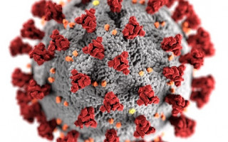 В помещениях стало опасно: ученые спрогнозировали риск заражения COVID-19