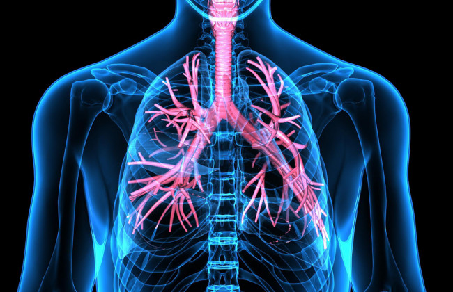 Предупрежден — значит вооружен: самые распространенные осложнения после COVID-19