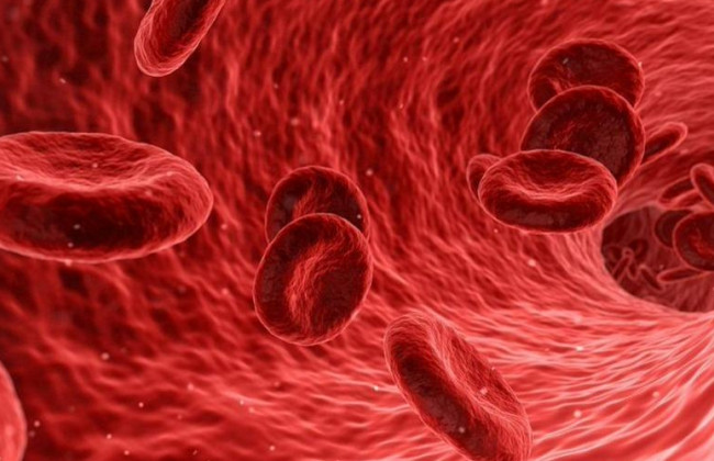 Ученые предупредили о серьезных последствиях долгого ковида: провоцирует микротромбоз