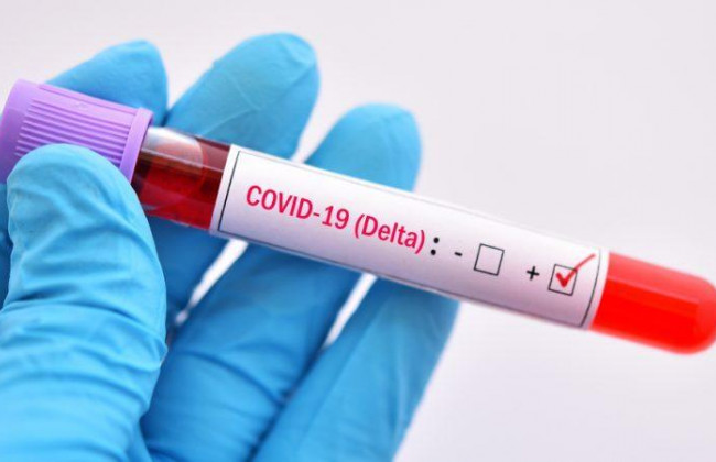 Обнаружены новые мутации в штамме «Дельта»