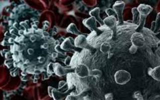 Симптомы могут длиться 7-8 дней: назвали особенность штамма «Дельта»