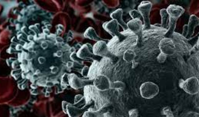 Симптомы могут длиться 7-8 дней: назвали особенность штамма «Дельта»