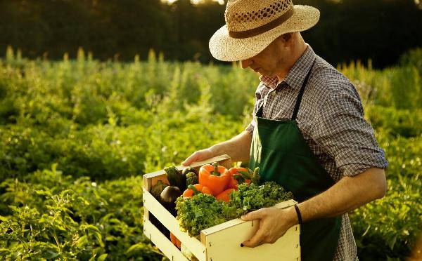Зеленський підписав закон про грошову допомогу молодим фермерам