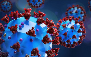 Маскируется под сезонные заболевания: назвали новую опасность штамма «Дельта»