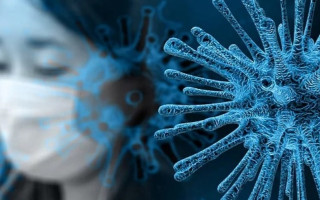 Ученые изучили логику эволюции коронавируса: защищает ли маска от заражения