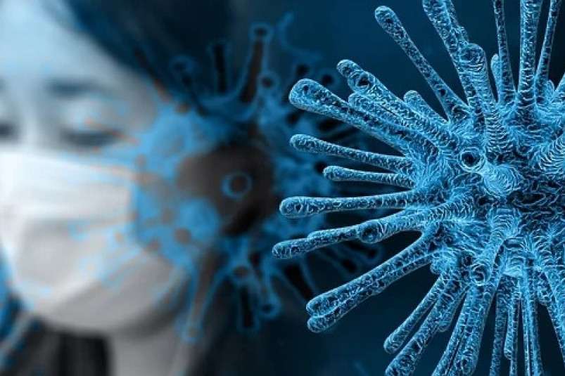 Ученые изучили логику эволюции коронавируса: защищает ли маска от заражения
