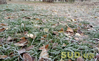 Синоптики рассказали, каким будет остаток осени 2021