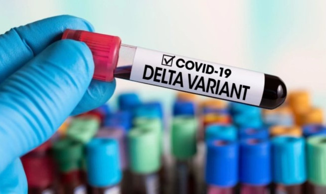 Стало известно, тестируют ли украинцев на заражение «Дельтой»