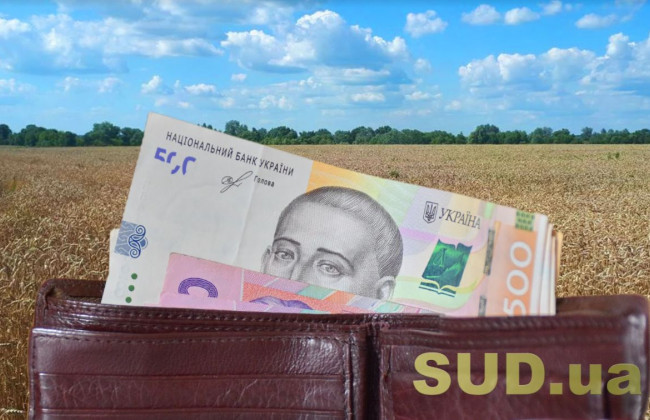 Переважне право купівлі земельної ділянки сільськогосподарського призначення: що варто знати