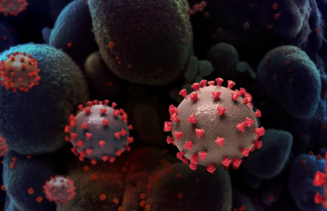 Врач сообщил специфический симптом штамма «Дельта»