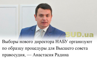 Выборы нового директора НАБУ организуют по образцу процедуры для Высшего совета правосудия, — Анастасия Радина