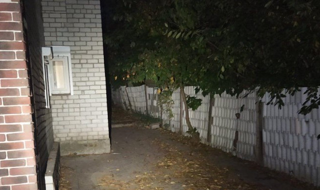 В Харькове женщину загрызли ее пять мастифов: подробности