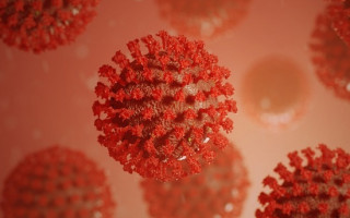 «Дельта» поражает легкие за считанные дни: назвали новую особенность индийского штамма