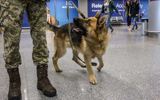 Одесская область попала «под руку минеров»: проверяются два объекта