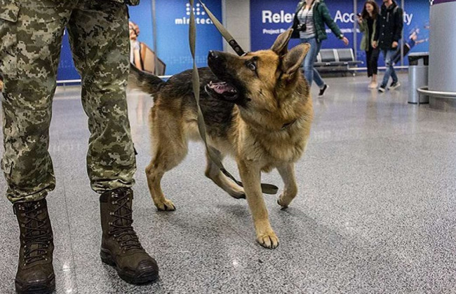 Одесская область попала «под руку минеров»: проверяются два объекта