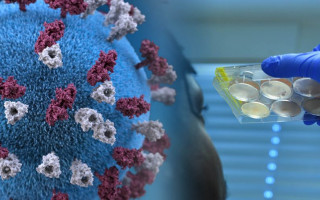 Научился в тысячу раз быстрее размножаться: назвали главную опасность штамма «Дельта»