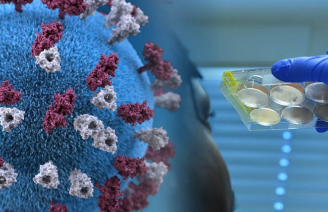 Научился в тысячу раз быстрее размножаться: назвали главную опасность штамма «Дельта»