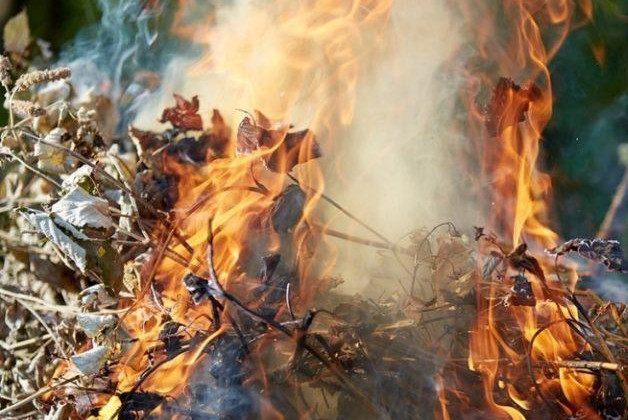 Под Днепром женщина погибла, сжигая листья: подробности
