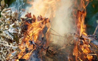 Под Днепром женщина погибла, сжигая листья: подробности