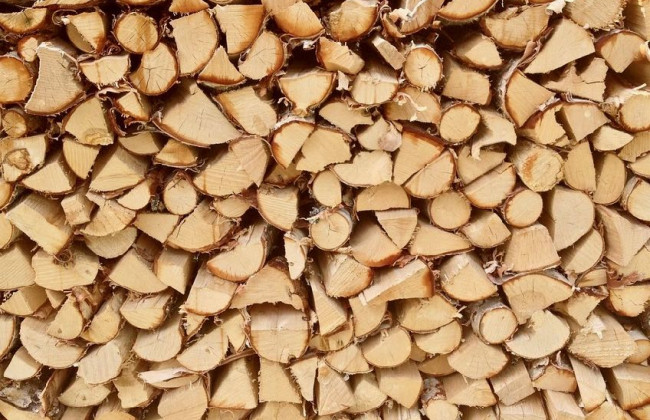 Как мошенники обманывают украинцев при покупке дров: разоблачили схему