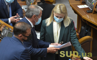 Рада проводить позачергове засідання: на порядку денному – енергоефективність та дитяче харчування, трансляція