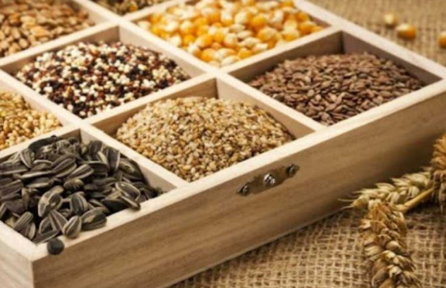 Рада встановить чіткі строки щодо процедур експертизи сортів рослин: зроблено перший крок