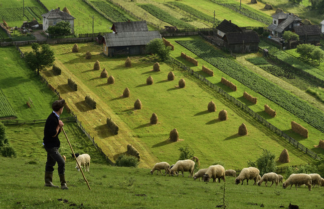 Як повернути землю, яку самовільно захопив сусід, та отримати компенсацію