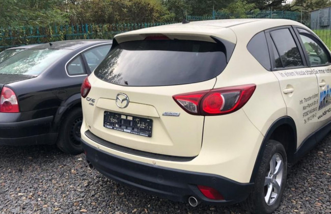 На «євробляхерів» склали майже півтисячі протоколів: деталі