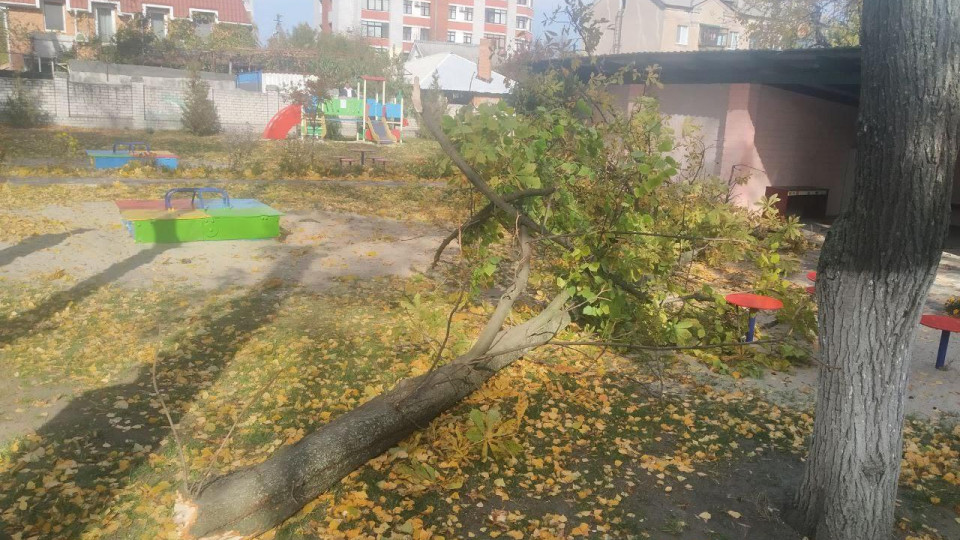 В Кременчуге на детей в садике упало дерево