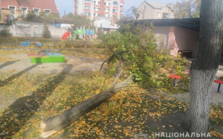 В Кременчуге на детей в садике упало дерево