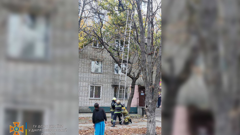 В Днепропетровской области с дерева пришлось снимать беременную: подробности