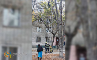 В Днепропетровской области с дерева пришлось снимать беременную: подробности