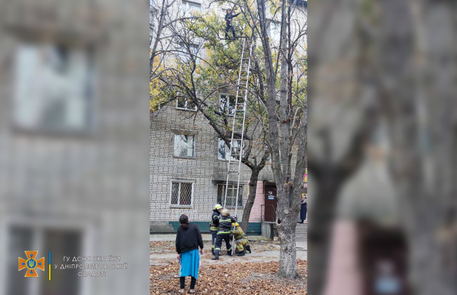 В Днепропетровской области с дерева пришлось снимать беременную: подробности
