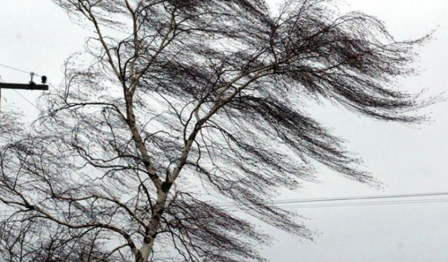 В Киеве объявлено штормовое предупреждение