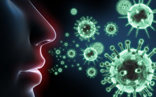 Штамм «Дельта» или «Дельта-плюс»: какой вирус опаснее