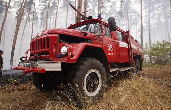 В Киеве вспыхнул мощный пожар в парке: фото и видео