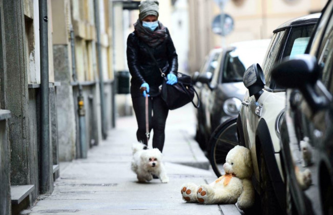 Франция примет исторический закон о защите животных
