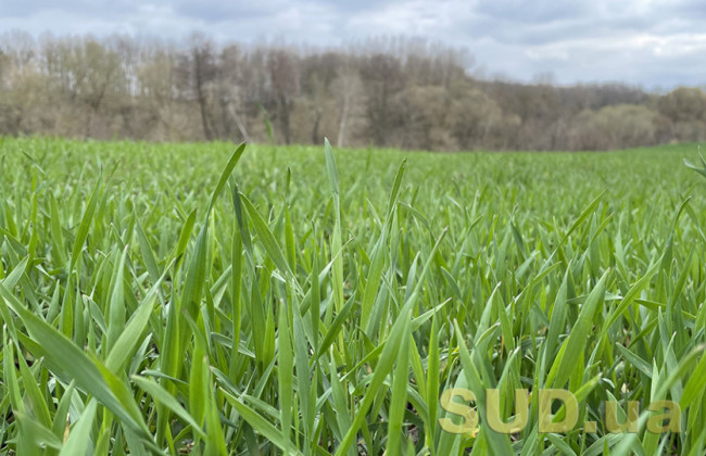 Визнання права на земельний пай: реєстрації прав з огляду на зміни в земельному законодавстві