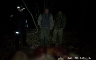 Умер при попытке побега от лесничего: в лесу на Черниговщине разыгралась драма
