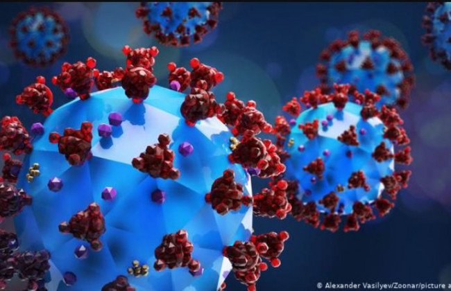 Могут предотвратить острое воспаление легких при COVID-19: обнаружены мощные вещества