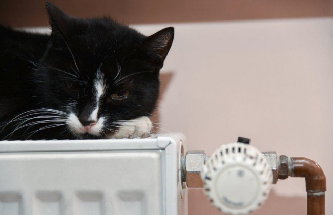 Почему не во всех домах Киева включили отопление: в КГГА дали ответ