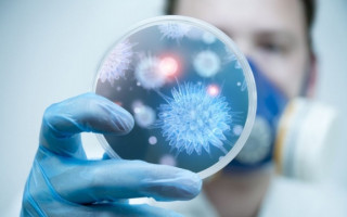 Коронавирус «вытеснил»  один из штаммов гриппа, — ученые