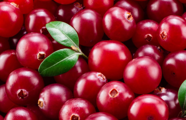 Как клюква может защитить от коронавируса