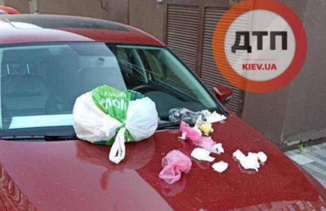 В Киеве наказали очередного «героя парковки», фото