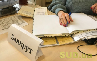 До якої юрисдикції належать вимоги особи у процедурі банкрутства про оскарження ППР: постанова ВП ВС