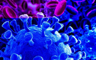 Стало известно, является ли COVID-19 сезонной инфекцией