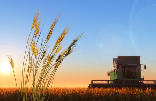 Земельна реформа: що стане підставою для конфіскації земельної ділянки