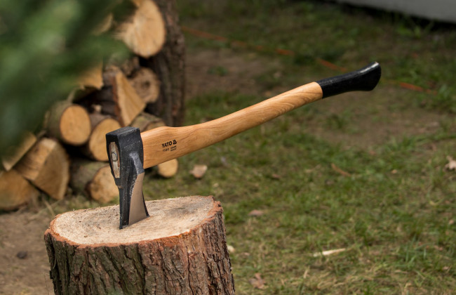 На Киевщине 4-летний мальчик отрубил палец своей маленькой сестре