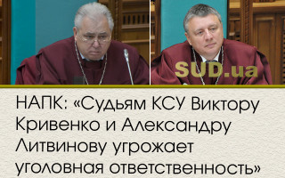 НАПК: «Судьям КСУ Виктору Кривенко и Александру Литвинову угрожает уголовная ответственность»