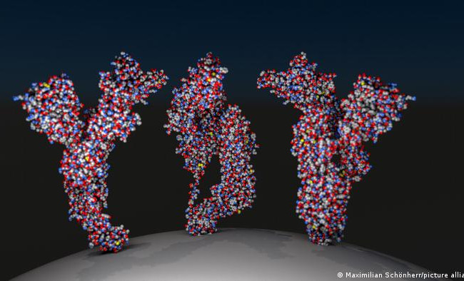 Стоит ли бить тревогу: насколько опасен новый штамм «Дельта плюс»